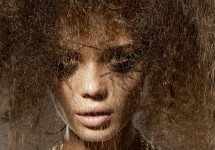 L'Officiel
